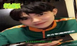 爆料刘姓明星视频大全最新,揭秘娱乐圈不为人知的秘密